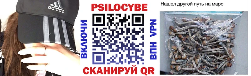 Псилоцибиновые грибы мухоморы купить Баксан